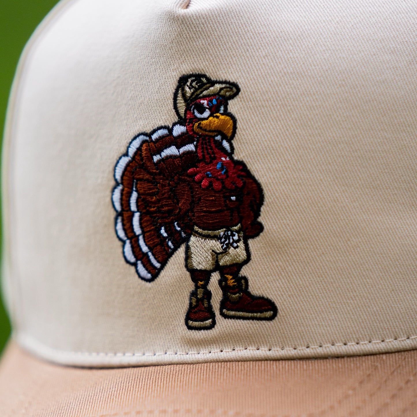 Mr. Gobble