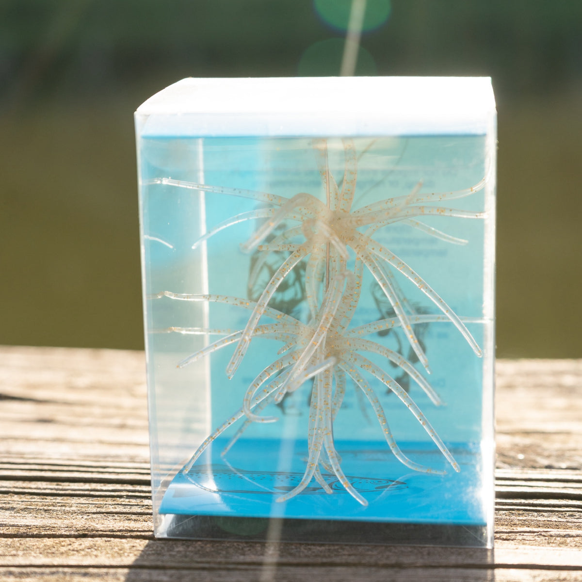 Prickly Pear Bait / Coike Fishing Bait