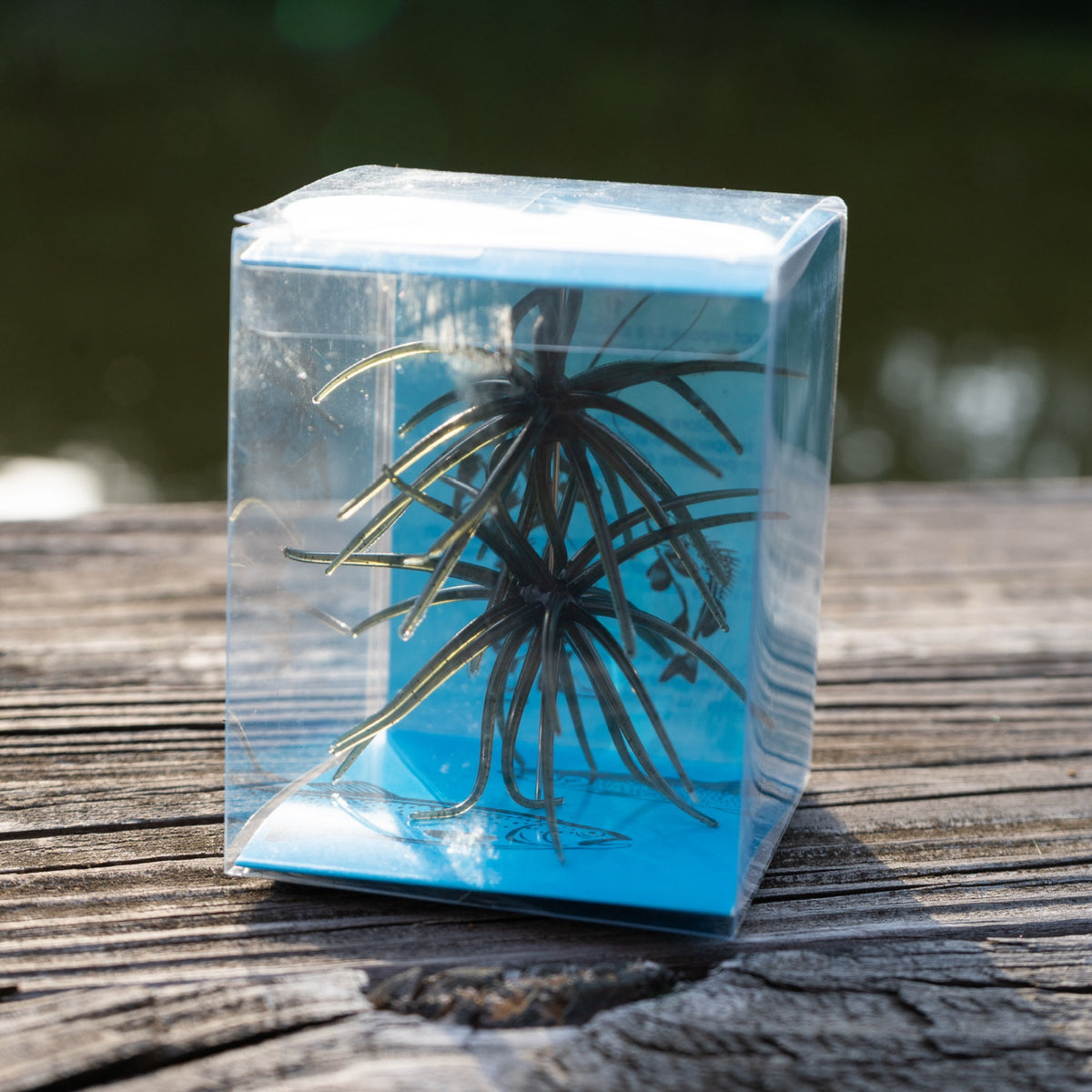 Prickly Pear Bait / Coike Fishing Bait
